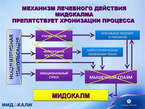 Механизм действия Мидокалма