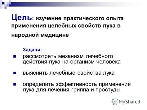 Механизм действия лука на организм