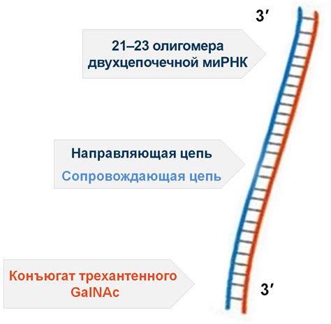 Механизм действия Max link speed