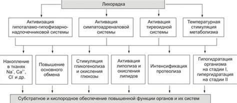 Механизм снижения температуры