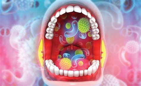 Микроорганизмы в ротовой полости