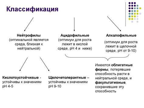 Микроорганизмы и химические соединения: основные угрозы при воздействии на кожу