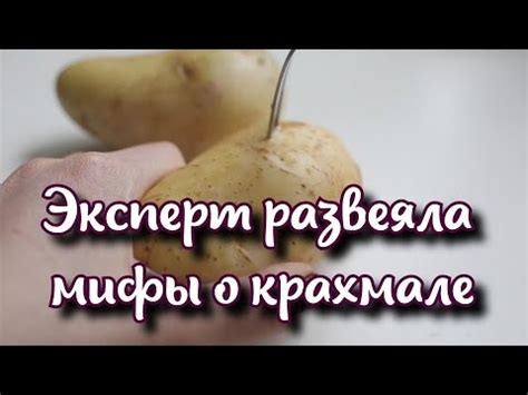 Мифы о крахмале в свекле