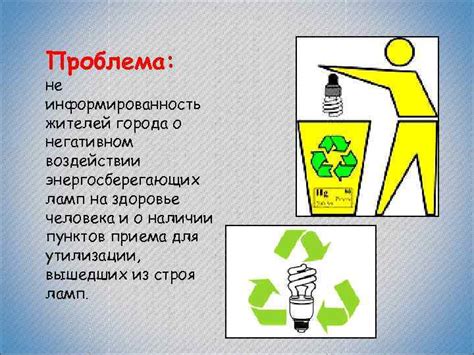 Мифы о негативном воздействии цереуса на энергетику в помещении