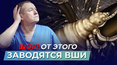 Мифы о паразитах и их влиянии на здоровье