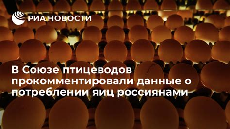 Мифы о потреблении яиц