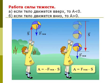 Мифы о размере молекулы