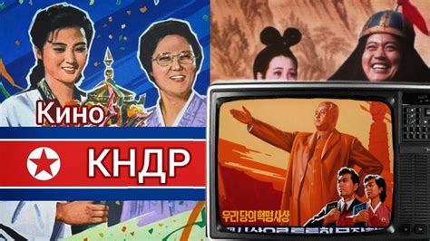 Миф о секретном применении гигиенических средств в закрытой культуре Северной Кореи
