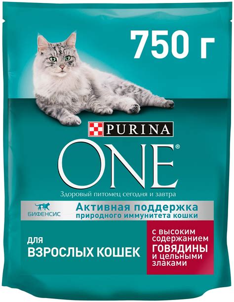 Миф 1: Кошачий корм опасен для щенка