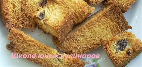 Могут ли хомяки есть сухари из белого хлеба