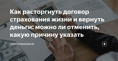 Можно ли вернуть оплату ускоренной экспертизы