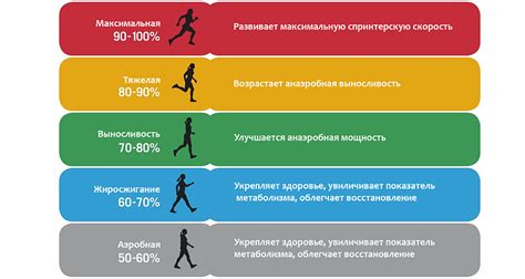 Мониторинг эффективности и возможностей тренировок на кардиотренажере