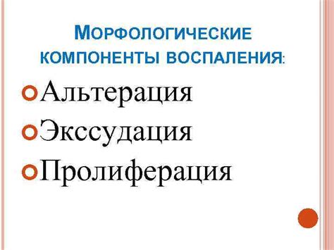 Морфологические компоненты