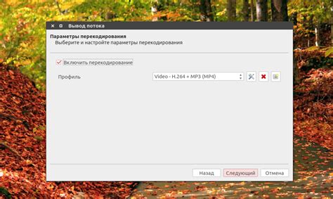 Музыкальные возможности и потоковое вещание
