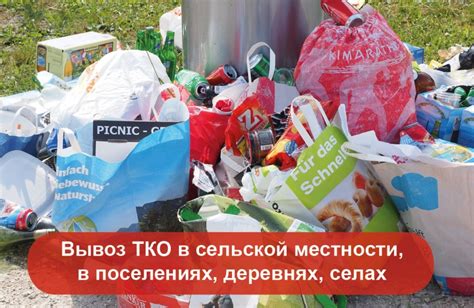 Нарушение правил вывоза отходов: штрафы и последствия 