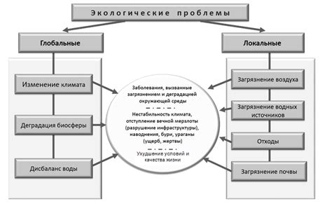 Нарушение экологических прав: последствия и меры ответственности