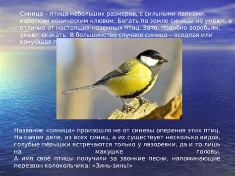 Настоящие характеристики случаев лета птиц