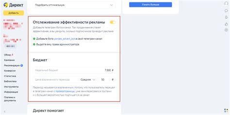 Настройка бюджета и отслеживание эффективности рекламы