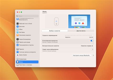 Настройка скорости и чувствительности курсора в macOS