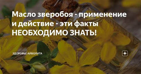 Натуральная аптека для здоровья: благотворное действие зверобоя и душицы