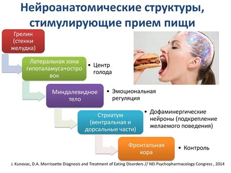 Натуральные аспекты поведения