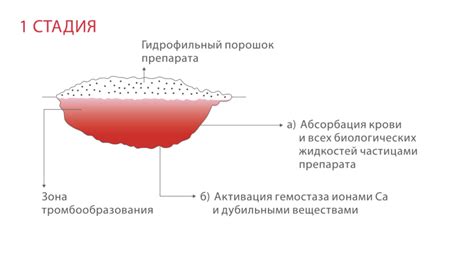 Начало действия механизма срабатывания