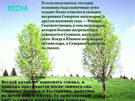 Начните укладывать новую листву