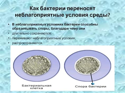 Неблагоприятные условия для микроорганизмов