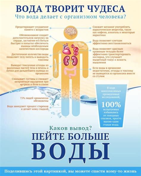 Негативное воздействие морской воды на организм в процессе готовки пищи