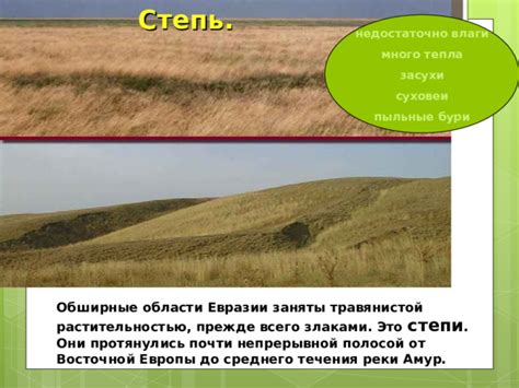 Недостаточно влаги
