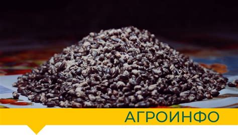 Недоступность качественных семян