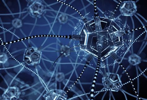 Нейронные сети: новые возможности для обнаружения клещей без использования микроскопа