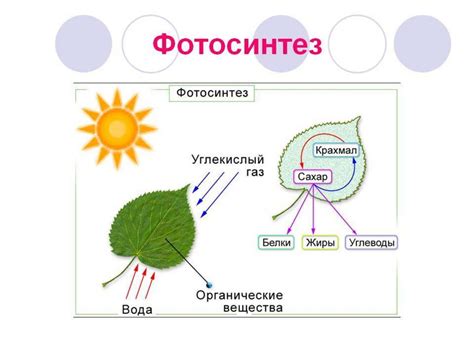 Необходимые условия для хранения