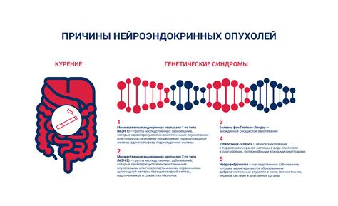 Неполадки пищеварительной системы русалок: возможные причины и последствия