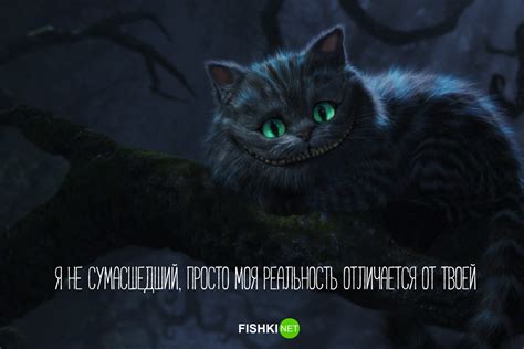 Непостоянство чеширского кота