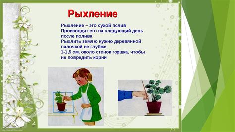Неправильная подкормка и уход за растениями