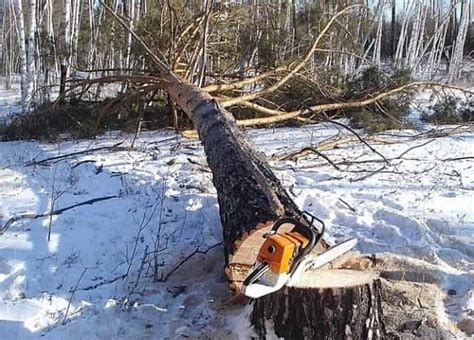 Неправильное использование бензопилы