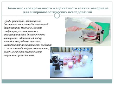 Неправильное хранение и транспортировка, влияющие на появление коричневого налета