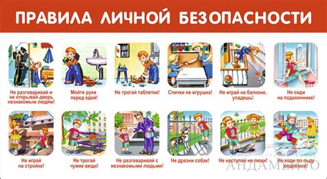 Неправильные методы гигиены: опасности для кожи и шерсти
