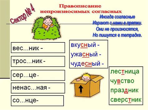 Непроизносимая буква "с"