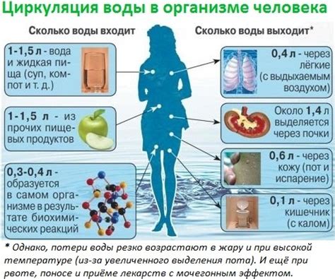Не забывайте о балансе жидкости в организме