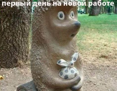 Не надо проводить