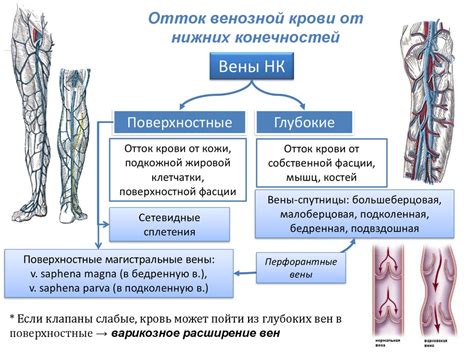 Низкое кровоснабжение