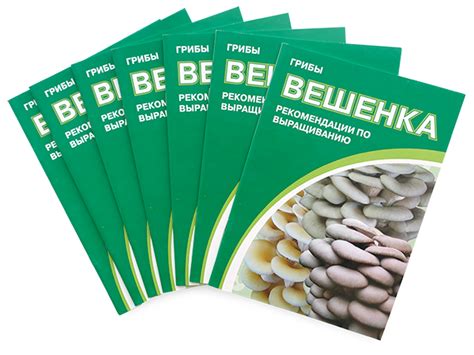 Новый подход к выращиванию домашних грибов с помощью грибных пакетов