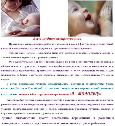 Обеспечение безопасности ребенка во время грудного вскармливания при посещении стоматолога