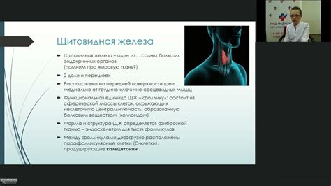 Обзор актуальных подходов к регенерации щитовидной железы