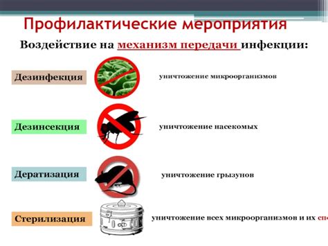 Обзор паразитарных заболеваний и их воздействие на организм