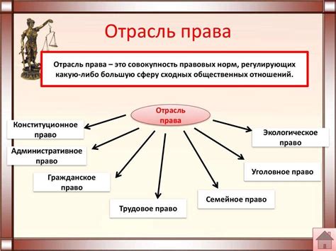 Область применения отрасли права в современном обществе