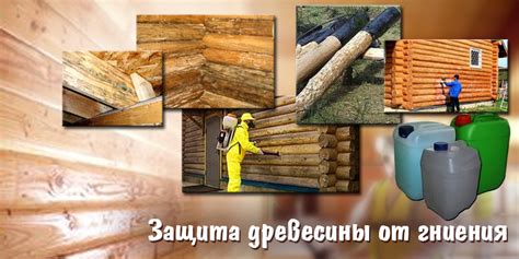 Обработка и защита дерева
