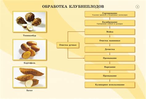 Обработка овощных ингредиентов